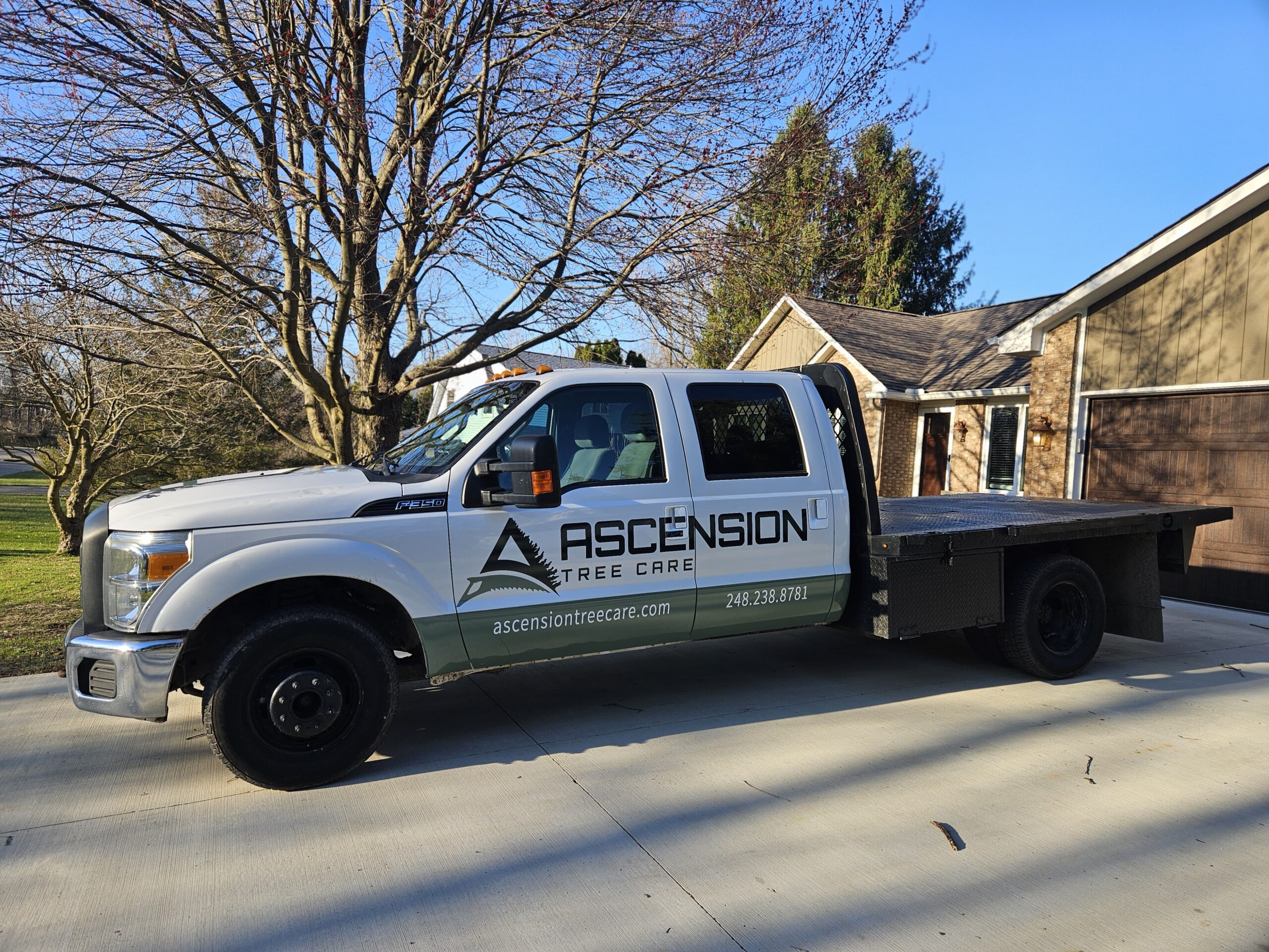 Tradition Graphic Solutions project