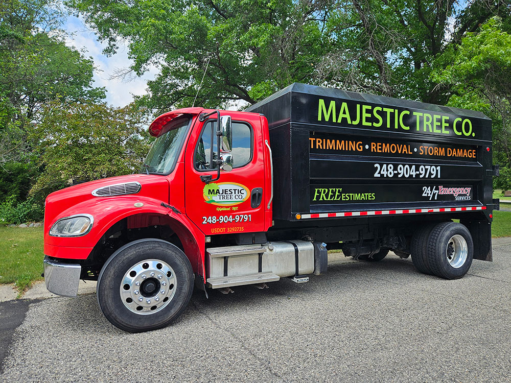 Vehicle Graphics — Tradition Graphic Solutions